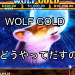 【オンラインカジノ】【ベラジョンカジノ】WOLF GOLDスロット実践！！