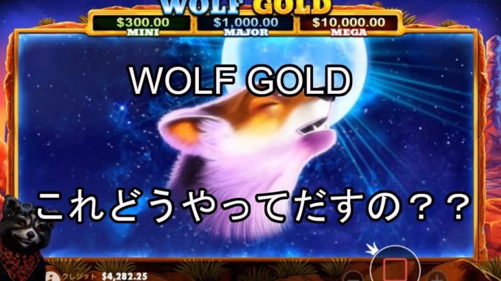【オンラインカジノ】【ベラジョンカジノ】WOLF GOLDスロット実践！！