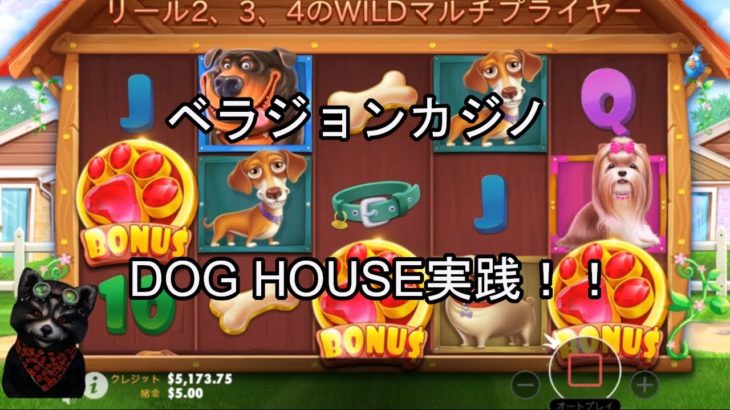 【オンラインカジノ】【ベラジョンカジノ】DOG HOUSEスロット実践！！