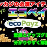 日本一のオンラインカジノで稼ぐ！エコペイズ開設アップ