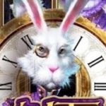 【オンラインカジノ】white rabbit ホワイトラビット4リール開放　1912倍