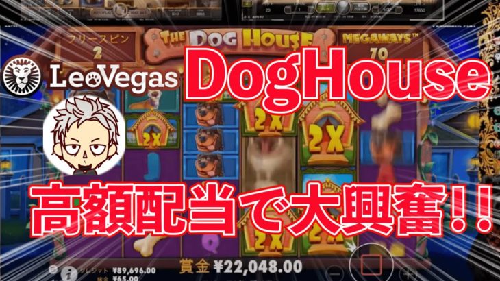 【オンラインカジノ/オンカジ】【レオベガス】The Dog House MEGAWAYS高額配当！！
