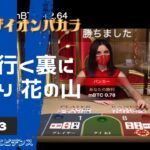 オンラインカジノ ~バカラ~ ロジックエビデンスDAY3