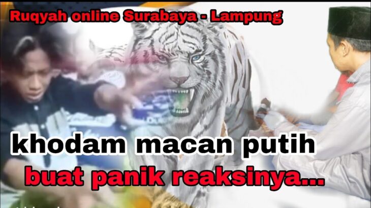 khodam macan putih buat panik reaksinya!!! ||Ruqyah online ustadz Yahya nihawan jra