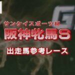 【参考レース】2022年 阪神牝馬ステークス｜JRA公式