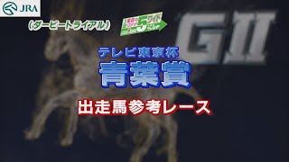 【参考レース】2022年 青葉賞｜JRA公式