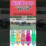 【JRA予想】桜花賞2022 ◉サブライムアンセム