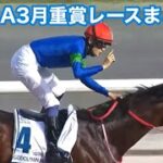JRA中央競馬3月重賞レースまとめ【競馬MAD】