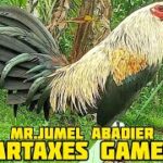 MELSIMS GREY SWEATER | JRA ARTAXES Gamefarm in Laguna Philippines | Jumel Abadier