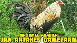 MELSIMS GREY SWEATER | JRA ARTAXES Gamefarm in Laguna Philippines | Jumel Abadier