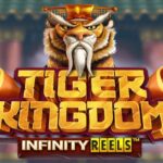スロットを遊ぼうTIGER KINGDOM – INFINITY REELS @ LUCKYFOX.IO オンラインカジノ