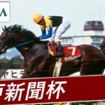 2004年 神戸新聞杯（GⅡ） | キングカメハメハ | JRA公式
