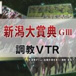 【調教動画】2022年 新潟大賞典｜JRA公式