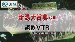 【調教動画】2022年 新潟大賞典｜JRA公式
