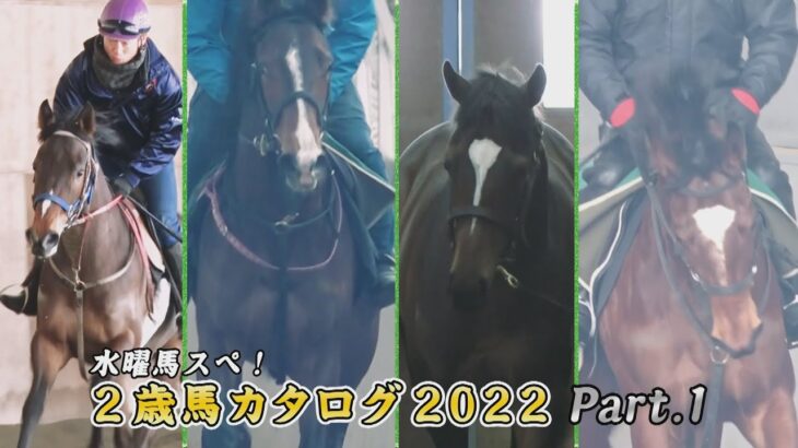 【POG】2歳馬カタログ2022 Part.1 / JRA-VAN[公式]