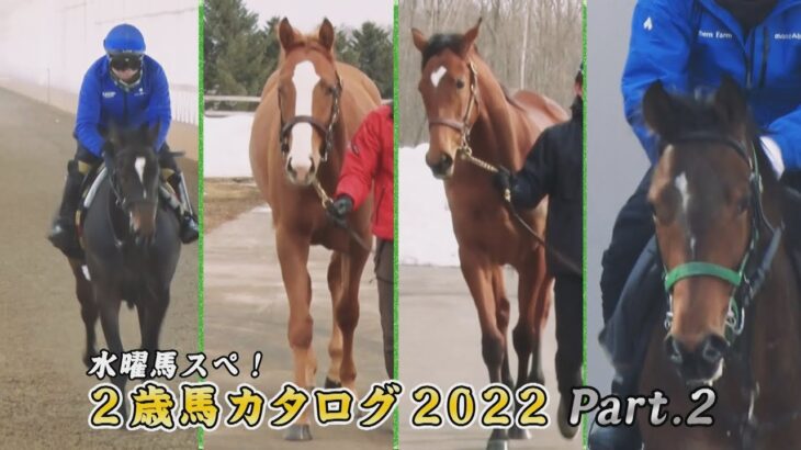 【POG】2歳馬カタログ2022 Part.2 / JRA-VAN[公式]